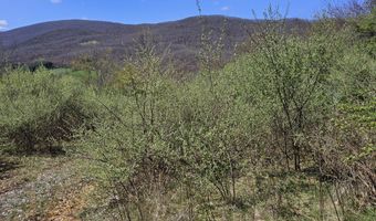 Tbd Clear Fork Creek Road, Bastian, VA 24314