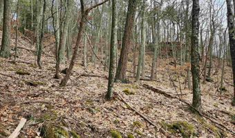 00 Monroe Rd, Bath, NH 03740
