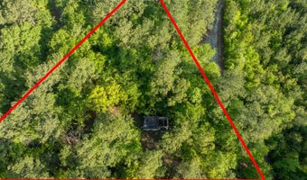 Ethridge Drive, Andrews, SC 29510