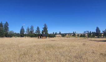 67 TIMBER Ln, Bickleton, WA 99322