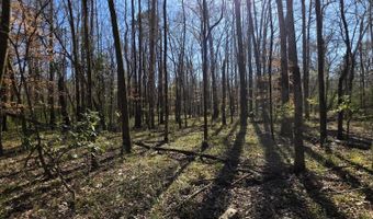 Bogue Chitto Road, Bogue Chitto, MS 39629