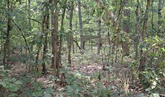 4370 Macdougall Dr, Allegan, MI 49010