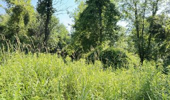 13513 100th St SE, Alto, MI 49302
