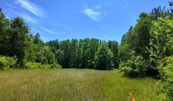 County Road 38, Autaugaville, AL 36003