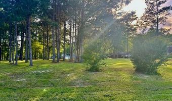 Daisy Lane 1, Andalusia, AL 36420