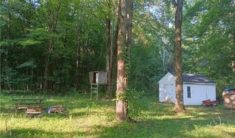 6168 Twitchell Rd, Andover, OH 44003