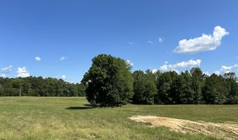 0 Jim Drewery Dr, Booneville, MS 38829