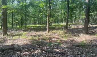 242 Brush Mountain Rd, Altoona, PA 16601
