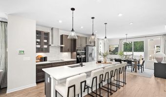 54320 MYSTIC MAROON Ter, Ashburn, VA 20147