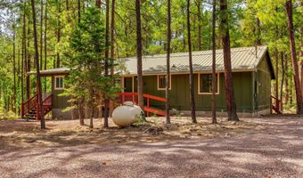 56 Co Rd 2266, Alpine, AZ 85920