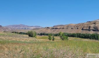 6 Homestead Trl, Challis, ID 83226