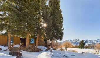 209 E Reds Rd, Aspen, CO 81611
