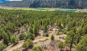 20861 Hwy 160, Bayfield, CO 81122