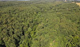 Private Drive Off Of Fr 1245, Aurora, MO 65605