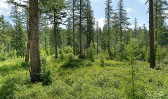 453 Chief Cliff Trl, Bigfork, MT 59911
