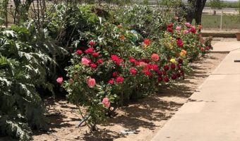 7770 WESTSIDE Rd, Anthony, TX 79821