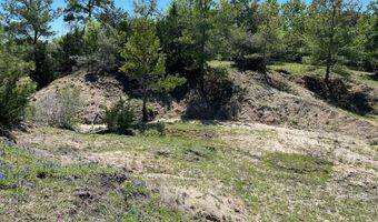 R13945 A0049 J Peterson Tract 11 Acres, Anderson, TX 77830