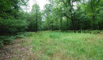 2782 River Rdg, Alger, MI 48610