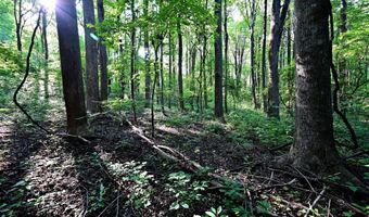 RICHARD ALLEN Street, Aquasco, MD 20608