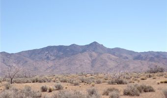 308-19 248 N Abeche Dr, Chloride, AZ 86431