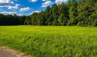 County Road 260, Bruce, MS 38915