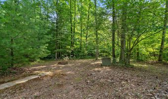 1125 39th St, Allegan, MI 49010