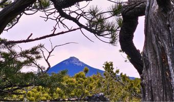 12190 Highway 7, Allenspark, CO 80510