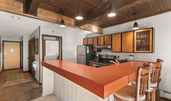 600 E Main St 207, Aspen, CO 81611