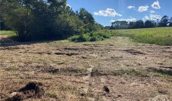 Tract 2 Hwy 51S, Homer, GA 30547