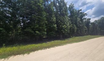 SW 47TH LANE, Bell, FL 32619