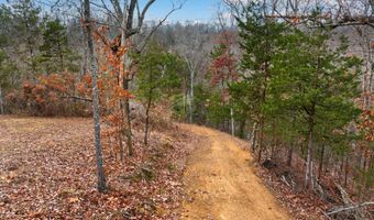1556 Hollow Springs Rd, Baneberry, TN 37890