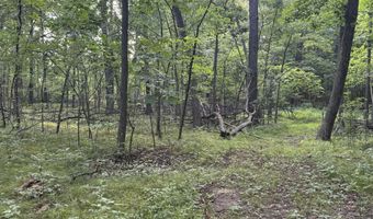 10775 W Ellsworth Rd, Ann Arbor, MI 48103