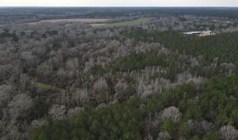 U.S. Highway 51, Bogue Chitto, MS 39629