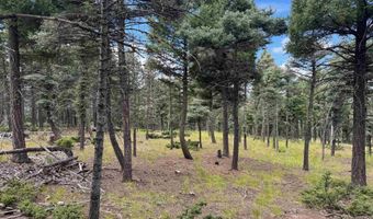 S Vail Overlook lot 310, Angel Fire, NM 87710