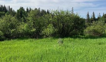 1656 Shadow Loop S, Ashton, ID 83420