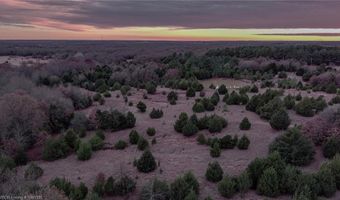 Tract 3 Acme RD, Asher, OK 74826