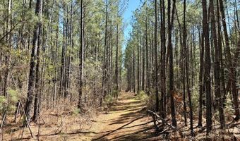 Highway 28, Abbeville, SC 29620