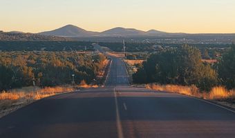 1 COUNTY ROAD N8155, Concho, AZ 85924