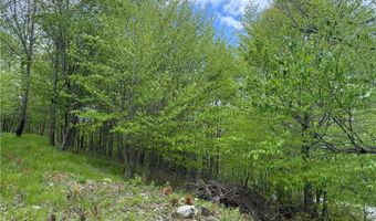 4 Fox Pointe Dr, Banner Elk, NC 28604