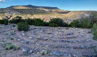 126 CR 156 A, Abiquiu, NM 87510