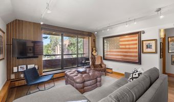 1221 Vine St 1221, Aspen, CO 81611