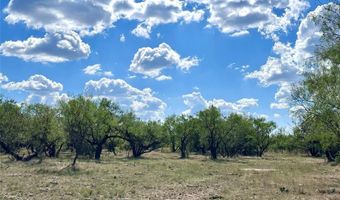 Tbd TBA County Road 100, Abilene, TX 79601