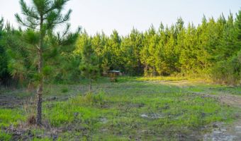 Mann Road, Arabi, GA 31712