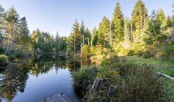 Trout Pond TL206 LN, Bandon, OR 97411