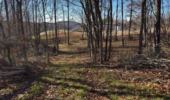 0 W Captina Highway Rd, Alledonia, OH 43902