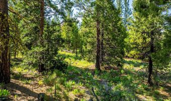 9454 Ridge Rd, Alturas, CA 96101