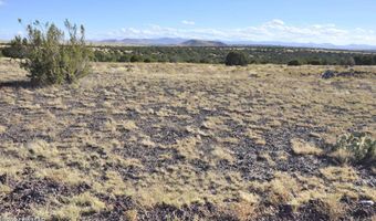 8 Z Concho Creek Dr, Concho, AZ 85924