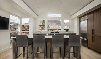 704 E Hyman Ave, Aspen, CO 81611