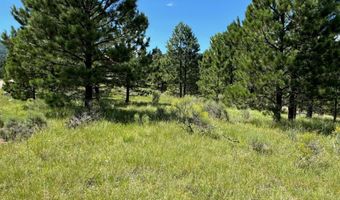 Lot 458 San Mateo, Angel Fire, NM 87710