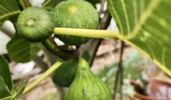 16391 HIGHWAY 101 48, Brookings, OR 97415